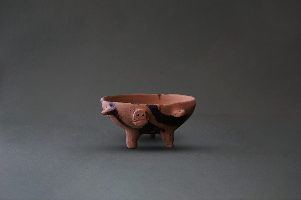 Cochinito Tonaltepec grande