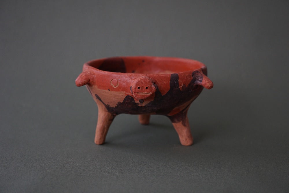 Cochinito Tonaltepec bicolor mediano